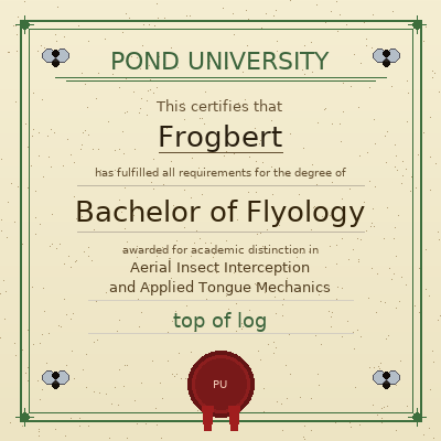 Bachelor of Flyology diploma