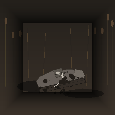 The Shoe